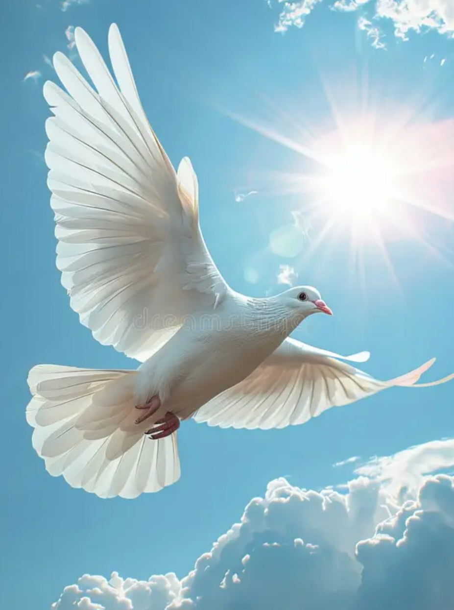 White dove flying in the sky symbolizing prayer, peace, and Christian faith